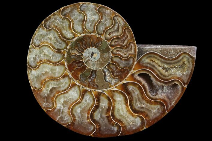 Agatized Ammonite Fossil (Half) - Madagascar #83832